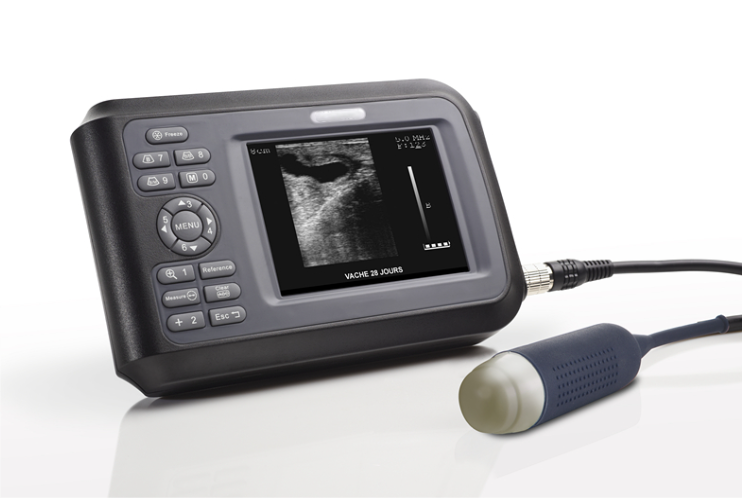 V7 Vet ultrasound scanner